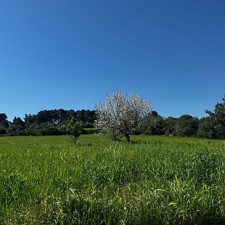 Trulli Del Sole Villa Martina Franca Luaran gambar