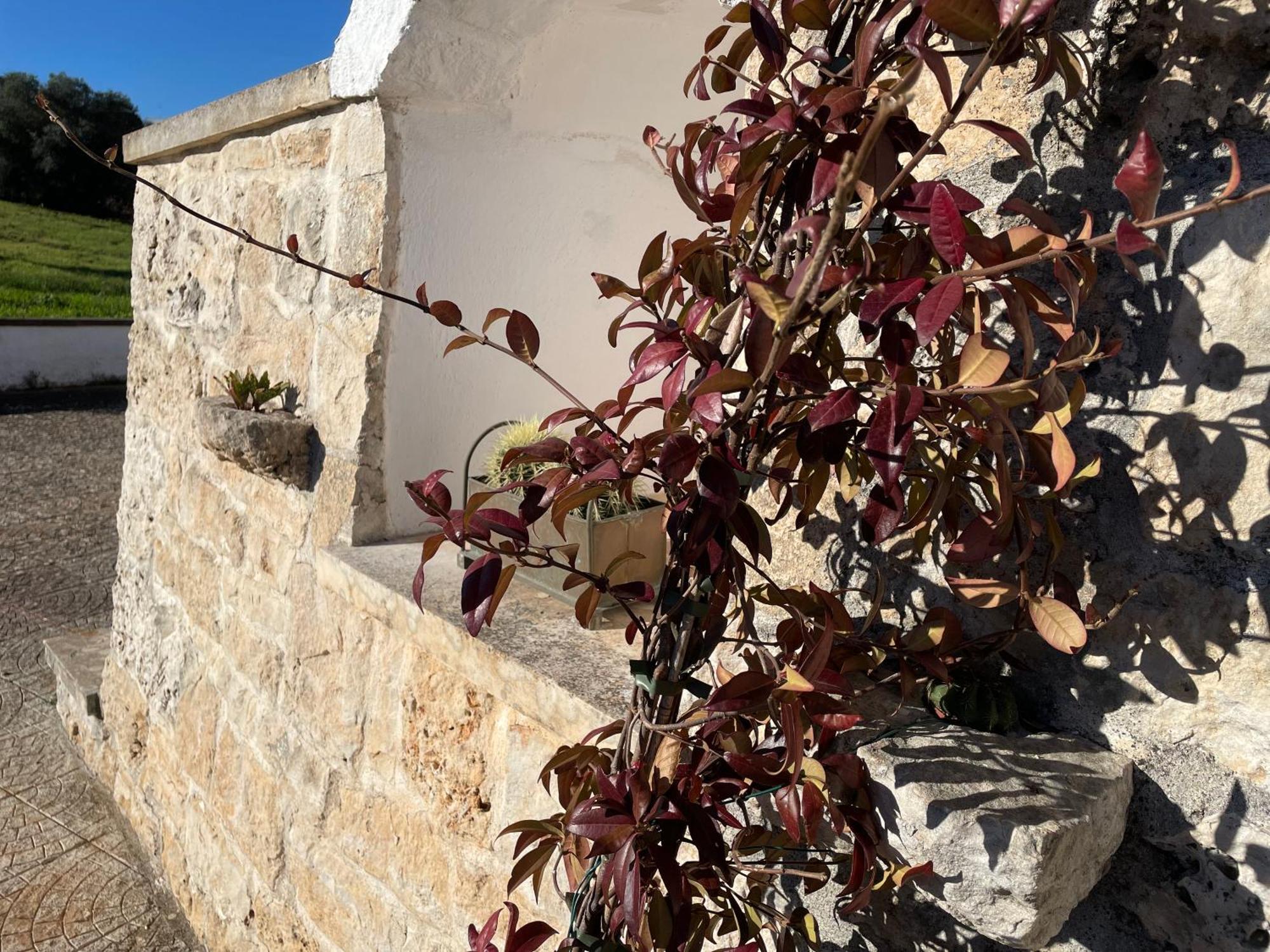 Trulli Del Sole Villa Martina Franca Luaran gambar