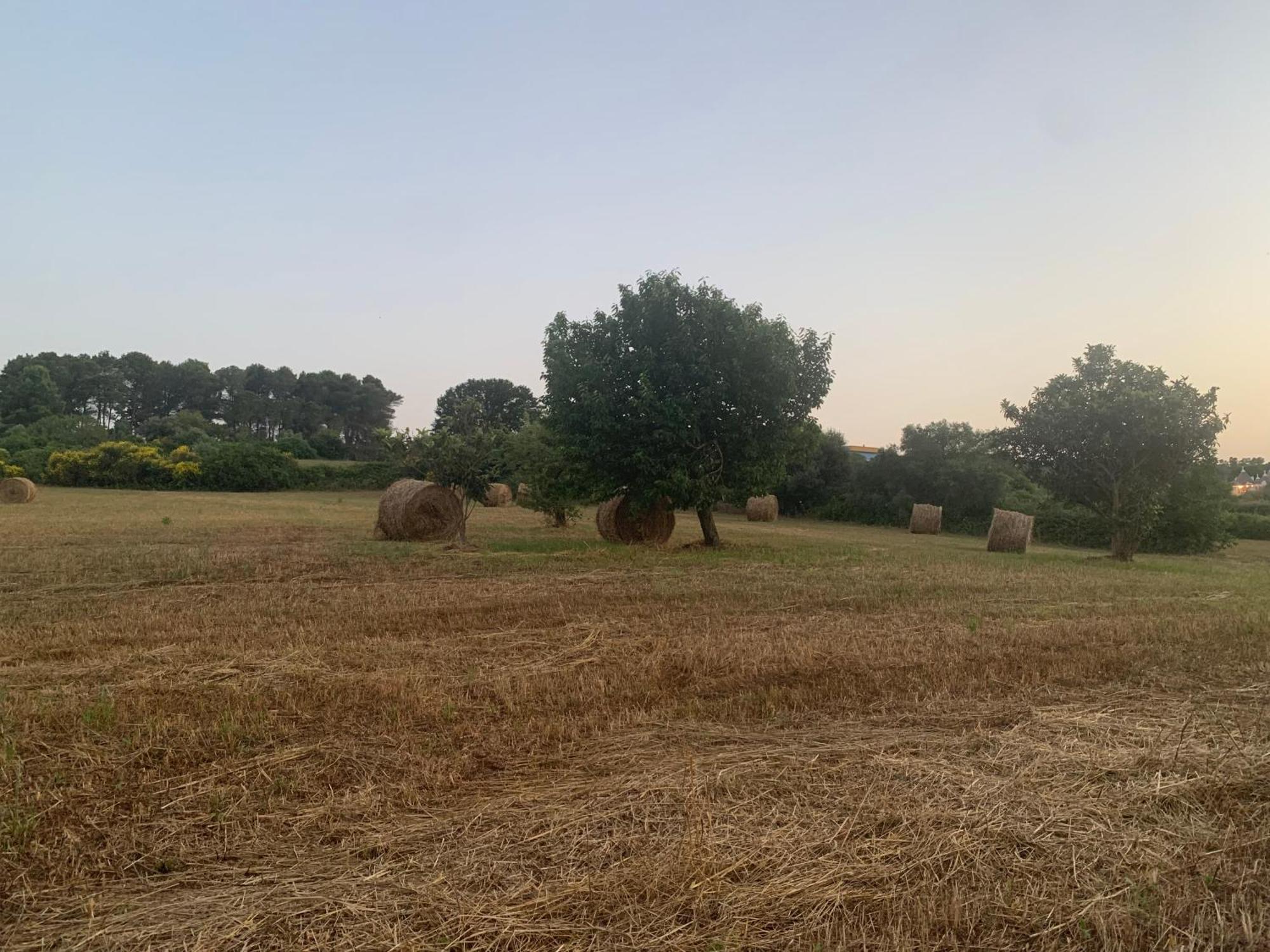 Trulli Del Sole Villa Martina Franca Luaran gambar