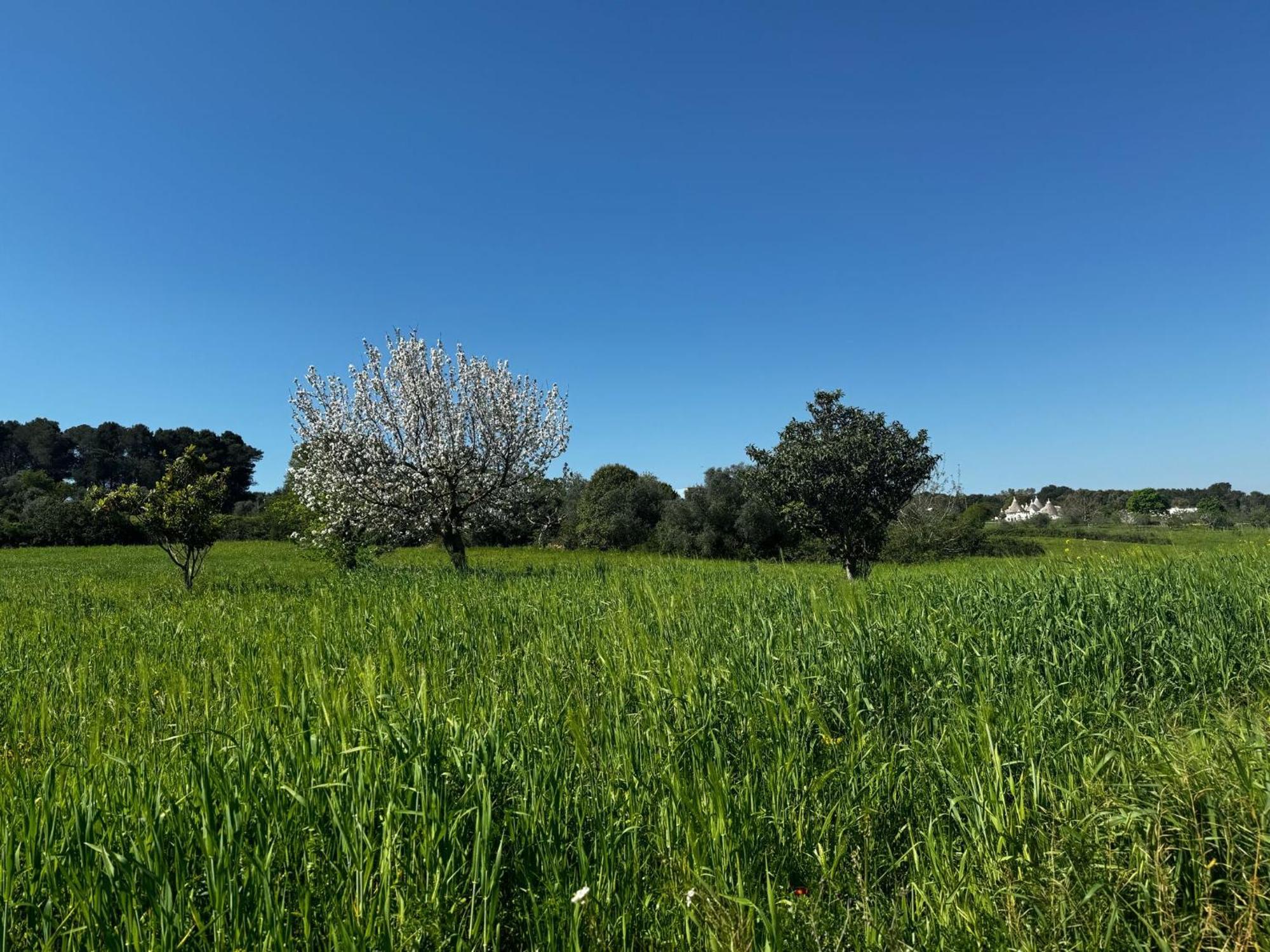 Trulli Del Sole Villa Martina Franca Luaran gambar